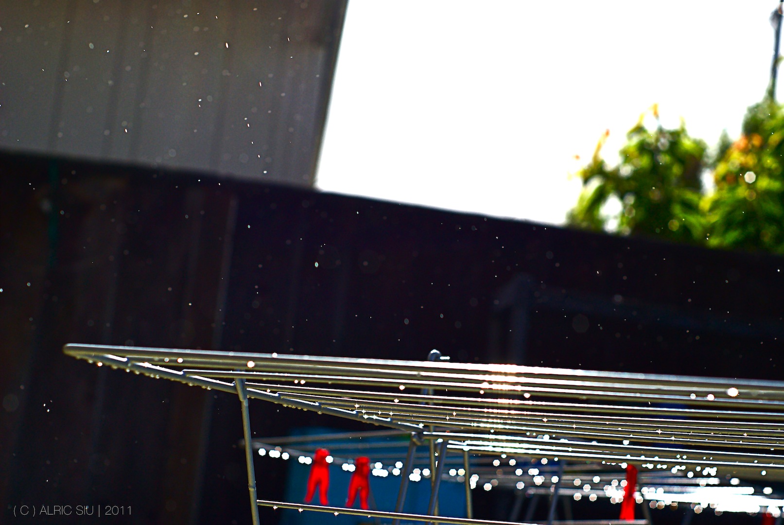 "a monkey's birthday" – also known as a sunshower.